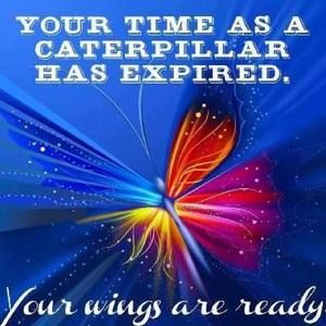 Meet your Posher, Sheila